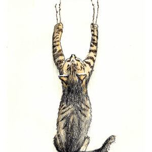 Claw-some