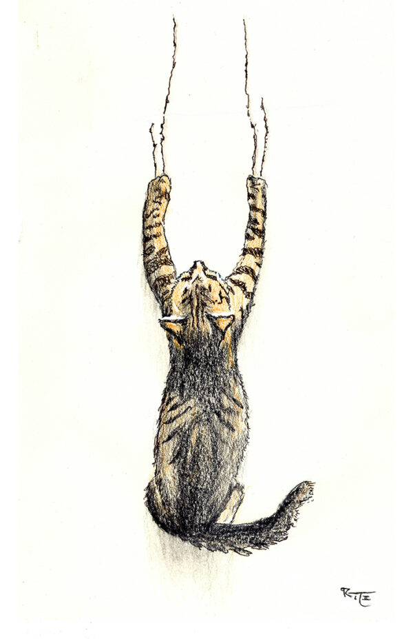 Claw-some