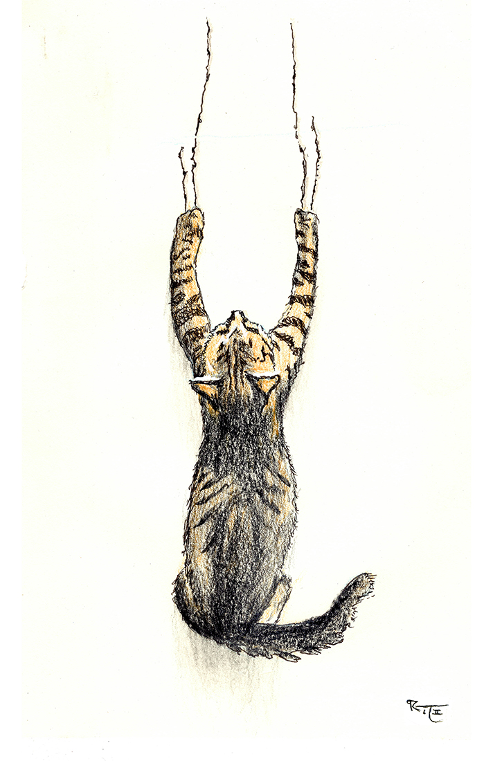 Claw-some